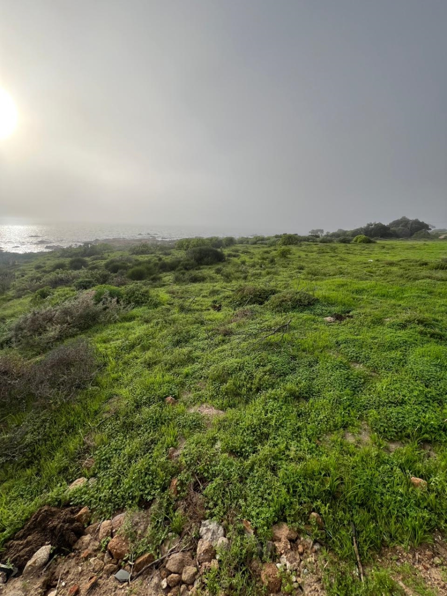 Commercial Property for Sale in St Helena Views Western Cape
